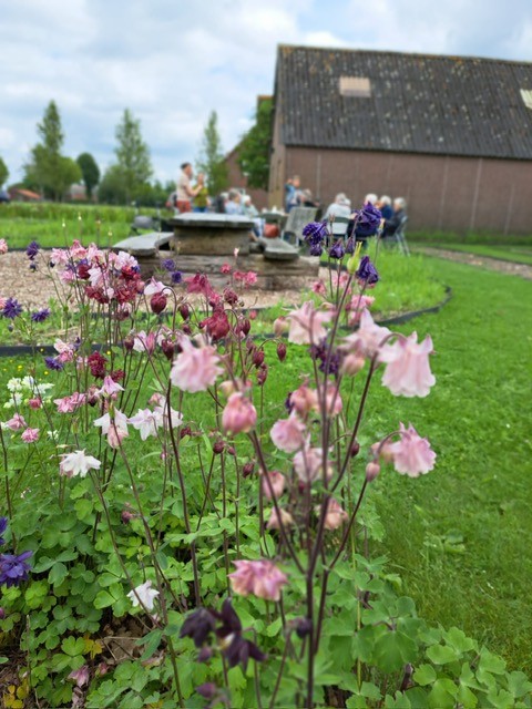 Bloemrijke seizoensafsluiting van De Vergeten Tuin Hilvarenbeek