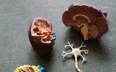 Nieuw medicijn bij dementie